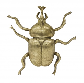 Figurusz Beetle