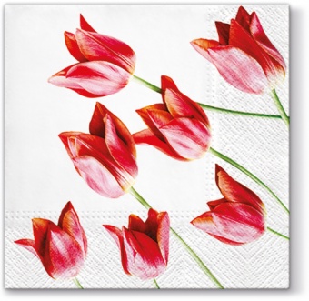 Pl szalvéták piros tulipán